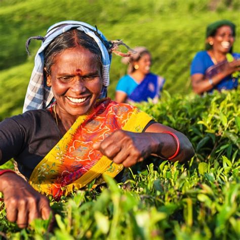 This is how indigenous peoples embody sustainable development