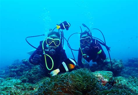 PADI OWDコース（ライセンス取得コース） | KOOZA SHOP