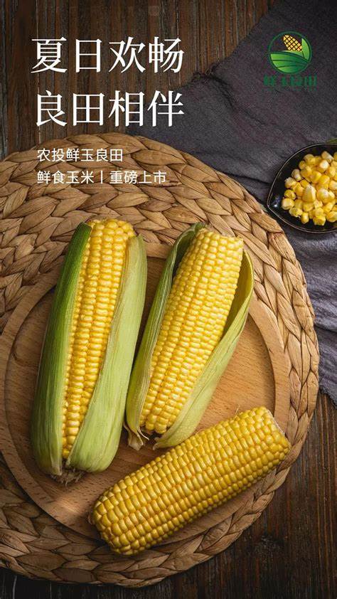 京农玉658玉米种产量怎样