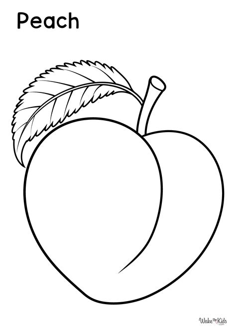 Peach Fruit Colouring Pages
