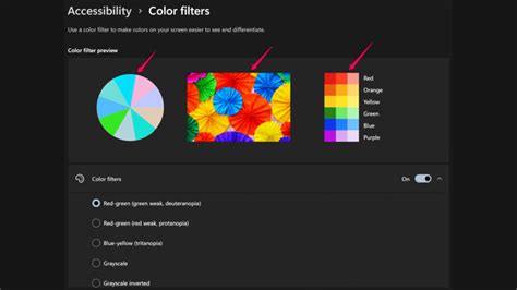 Image result for Windows 11 Camera Filters