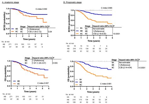 Validation of Prognostic Stage and Anatomic Stage in the American Joint ...