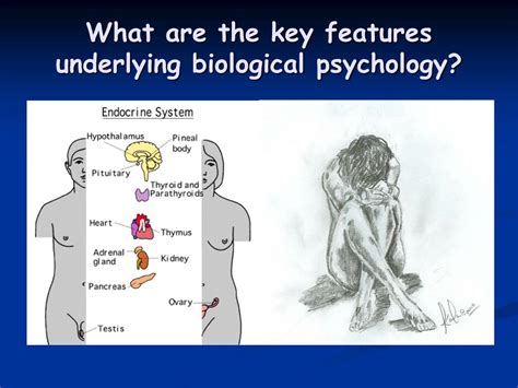 Biological Approach Examples 的图像结果