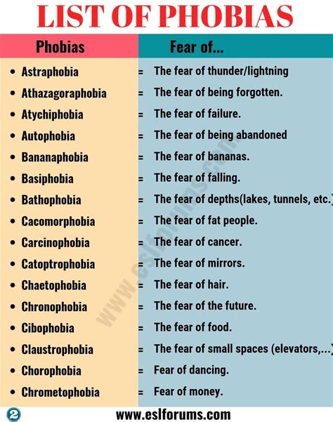 Types Of Phobias Phobias Archives Barnorama