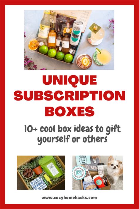 Image result for Subscription Box Ideas