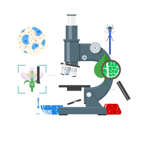 Inference Science Definition 的图像结果