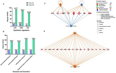 Persistent Cryptosporidium parvum Infection Leads to the Development of ...