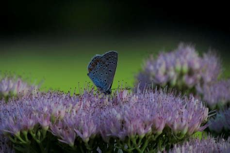 From The Darkness by Jill | Buy Posters, Frames, Canvas & Digital Art ...