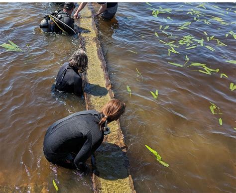 A 1,000-year-old Native American canoe was discovered in a Columbus ...