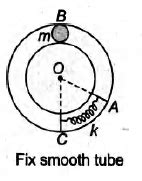In the figure shown, there is a smooth tube of radius ‘R fixed in the ...