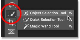 Photoshop Object Selection Tool 的图像结果