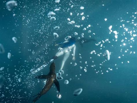 Sound of Fish Underwater 的图像结果