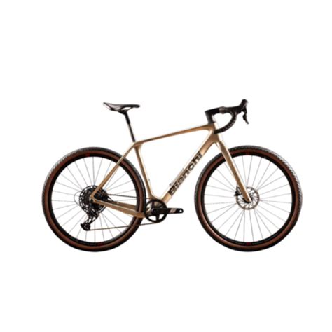 Bianchi Arcadex Comp Apex | JONITO bikes | Discover online now!, 3.050,00