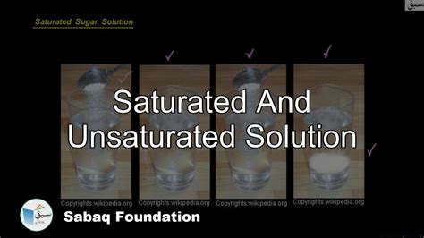 Image result for Saturated Science
