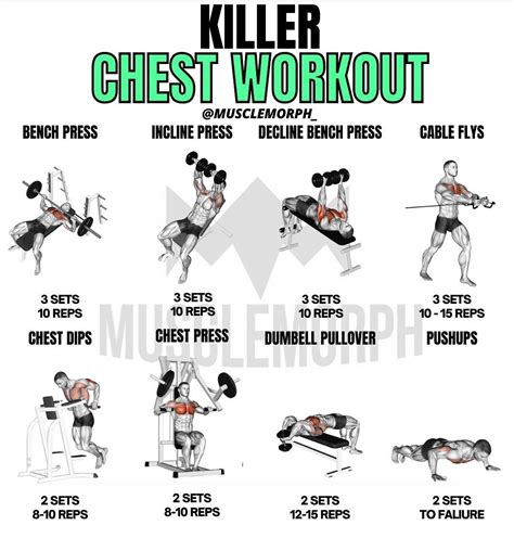 10 best chest workout exercises for building muscle – Artofit