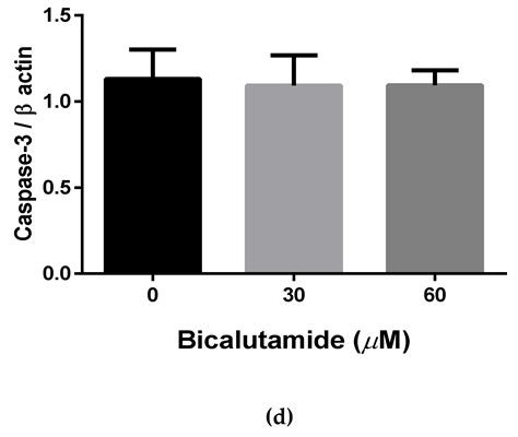 Bicalutamide Elicits Renal Damage by Causing Mitochondrial Dysfunction ...