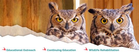 Rocky Mountain Wildlife Alliance | LinkedIn