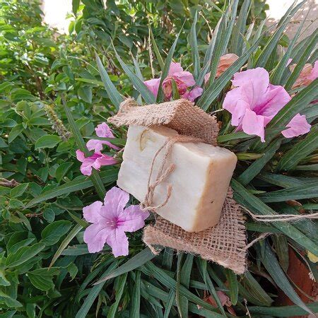 OLIVE GARDEN HOUSE - SIWA OASIS - Hostel Reviews, Photos, Rate ...