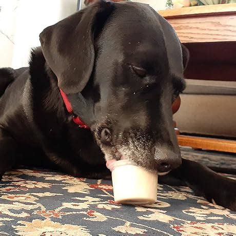 Fortinet Fortiap 231F 2X2 Dual_Band Ethernet MU-MIMO Access Point With ...