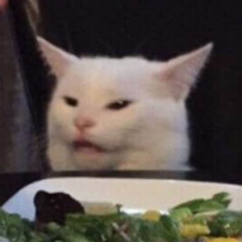 Image result for Visual Studio Code Cat