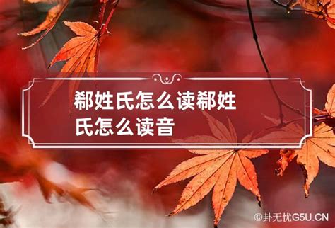 郗字笔顺笔画顺序_郗的笔顺怎么写正确_郗字怎样写好看_郗字拼音,部首,字帖_汉字笔顺查询网