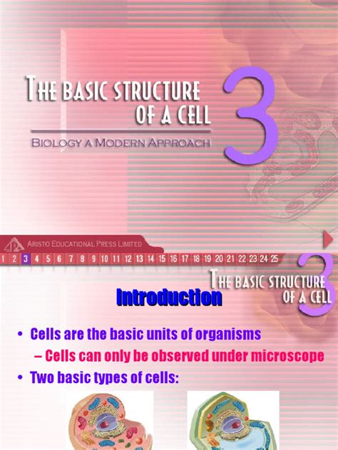 Image result for Cell Basic