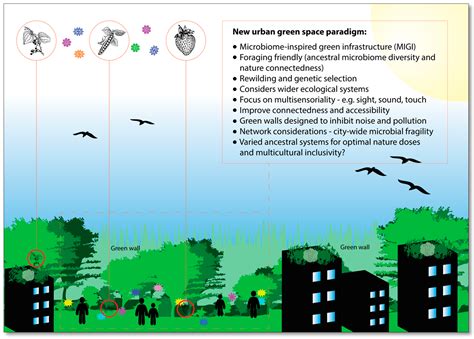 Walking Ecosystems in Microbiome-Inspired Green Infrastructure: An ...