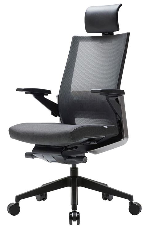 Buy SIDIZ T80 High Performance Ergonomic Swivel Chair (T800HLDA - Dark ...