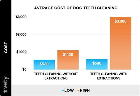 How Much Does Dog Teeth Cleaning Cost? (2025)