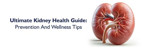 11 maneiras de manter seus rins saudáveis - Hospitais Medicover