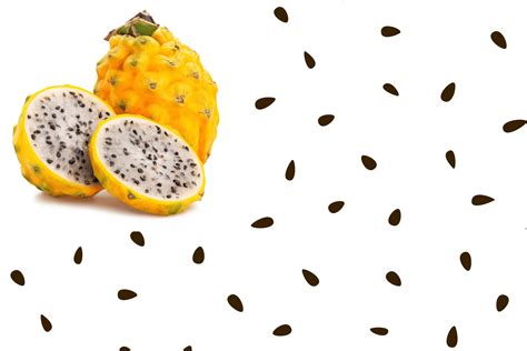 20 *SEEDS Yellow Dragon Fruit ( Pitaya / Pitahaya / Strawberry Pear ...