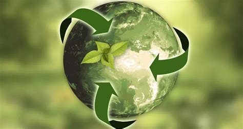 构建我国“无废城市”再生资源绿色回收 - 拾起卖