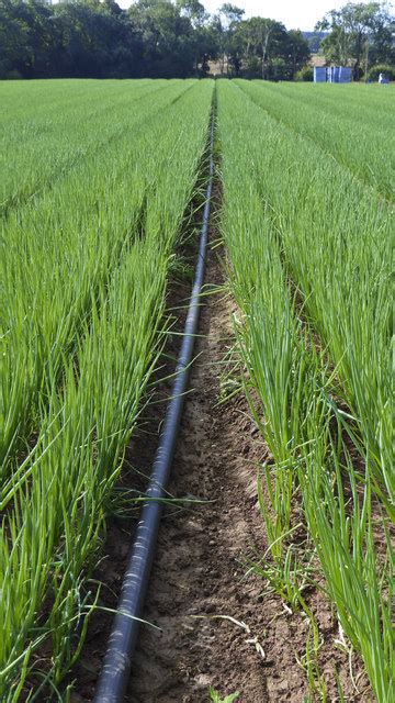 Irrigation Backflow Device Testing 的图像结果