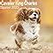 Buy Cavalier King Charles Spaniel Calendar - Dog Breed Calendars - 2022 ...
