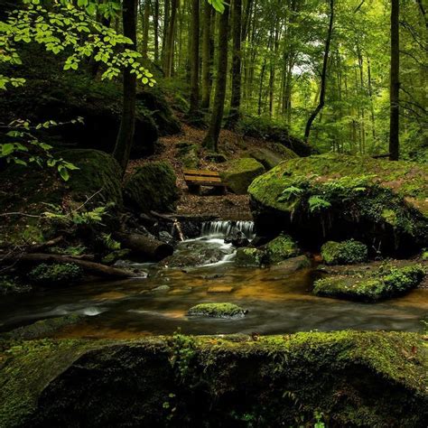 Image result for Water Stream Relaxation