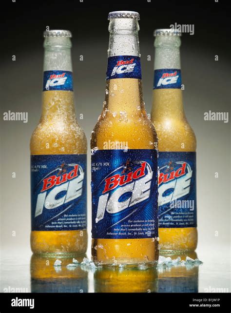BUDWEISER BUD ICE BEER BOTTLES WITH FROST AND MELTING ICE Stock Photo ...
