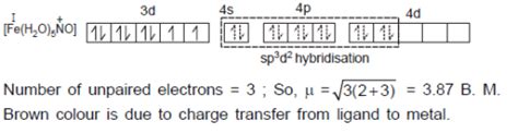 The brown ring formed at the junction of two layers in the test of ...