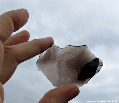Glass Buttes obsidian field trip - bend branches