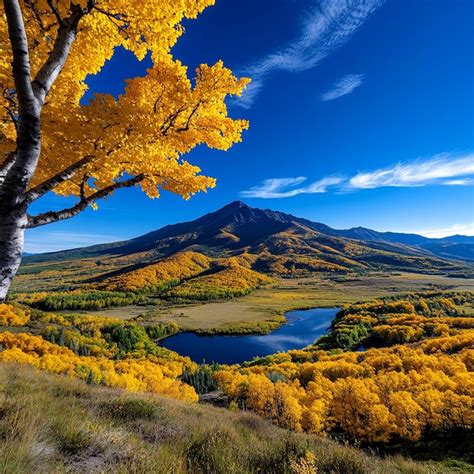 Fall Nature 的图像结果