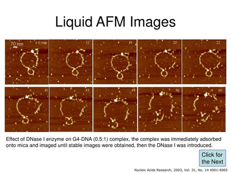 Image result for Liquid Phase AFM