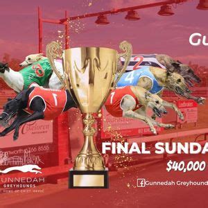 Ladbrokes Listed Gunnedah Chief Havoc Cup Final , Gunnedah Greyhound ...