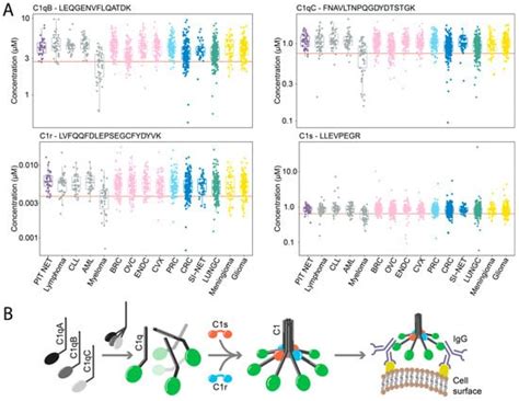 Absolute Quantification of Pan-Cancer Plasma Proteomes Reveals Unique ...