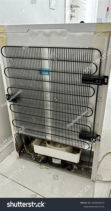 Fridge Back 的图像结果