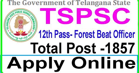 Samaj Aya Kya - How To Apply Online Application Help: Government Job ...