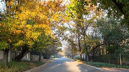 Drug and Alcohol Rehab Centre in Craighall Park, Johannesburg