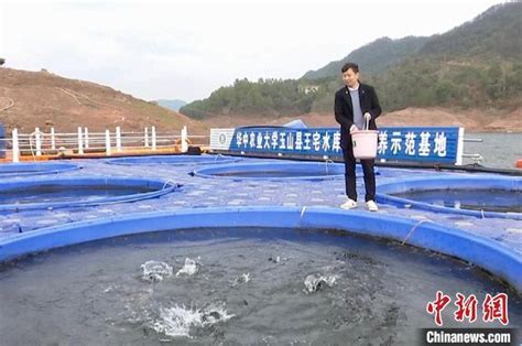 （乡村行·看振兴）江西玉山：水库养出“生态鱼”绿色高效增收益_腾讯新闻
