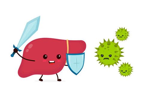 Support Your Liver Health with Simply Herbal Milk Thistle (Silymarin ...