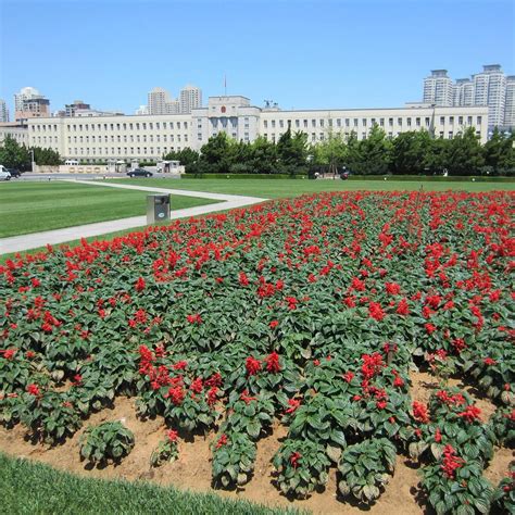 DALIAN PEOPLE SQUARE - All You Need to Know BEFORE You Go 2026 (with ...