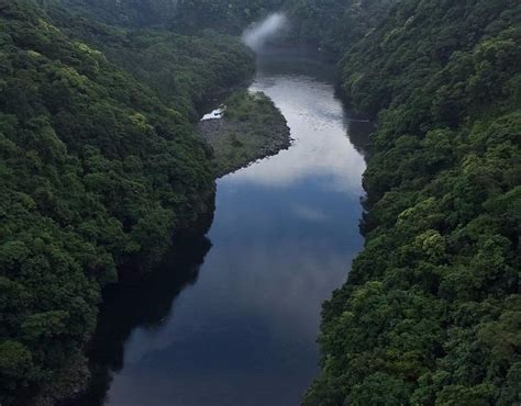 YAKUSHIMA MORINO NO TABIBITO (FOREST TRAVELLER ) (2026) All You Need to ...