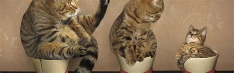 Download wallpaper cats, cats, Libra, family, weight, the stall ...